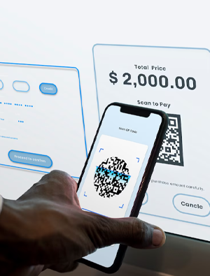 Accounting Management Software