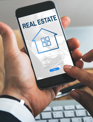 Accounting Management Software