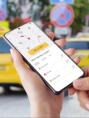 Wealth Management Software